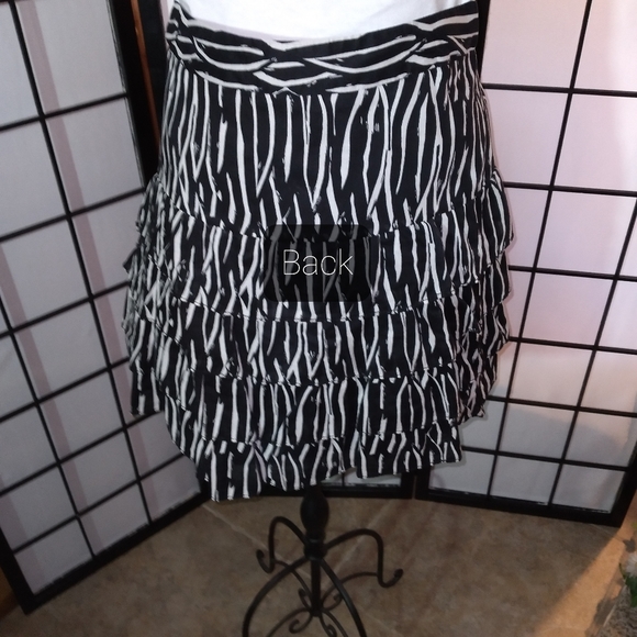 27A. Ann Taylor LOFT Ruffled Cotton Skirt - Picture 11 of 14